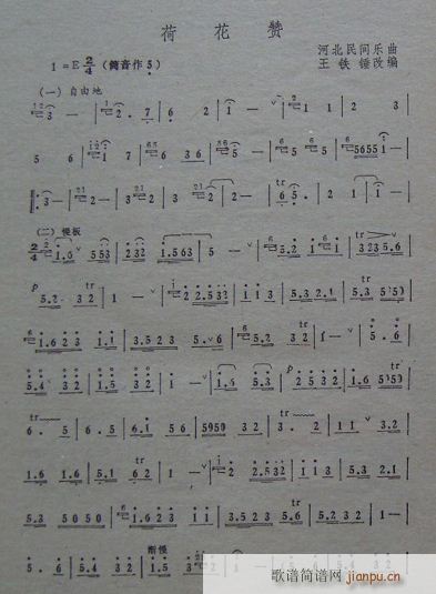 ɻٝ(ָV)1