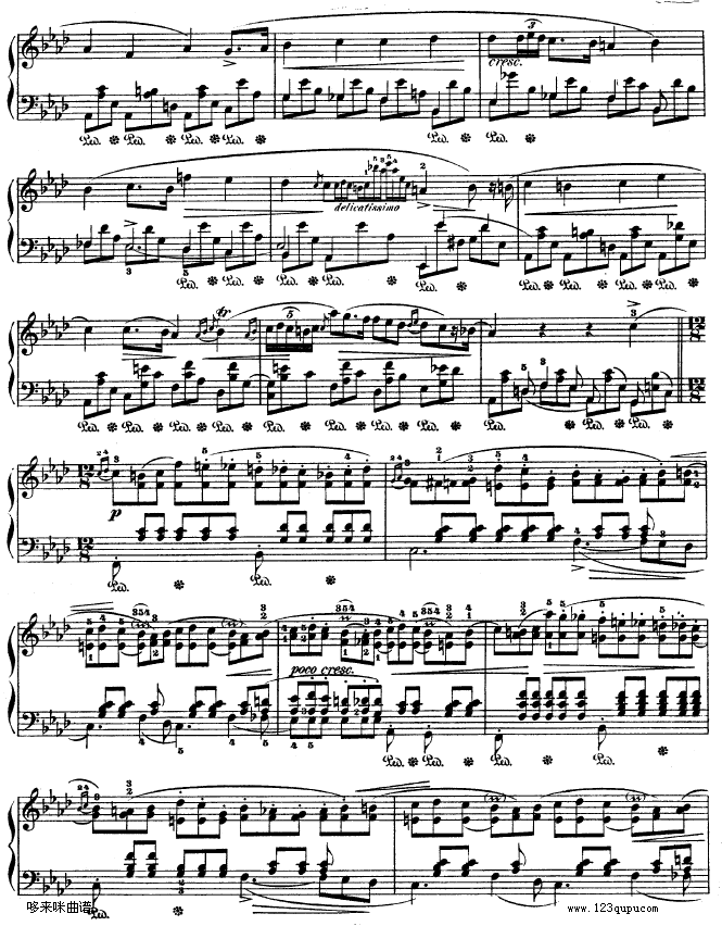 B{ҹƷ32̖-OP32NO.2-Ф(V)5