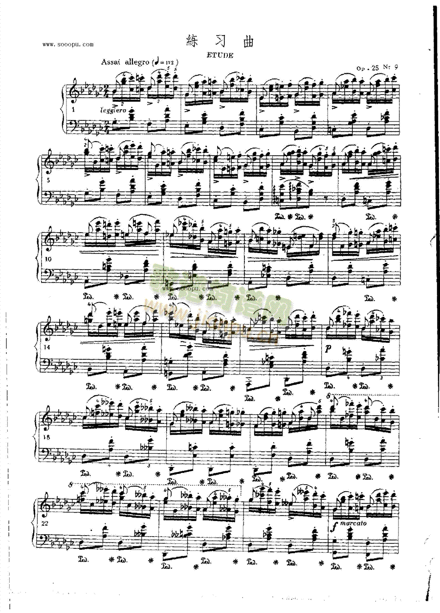 OP.25Nr9IP(pn)(li)((l )V)1