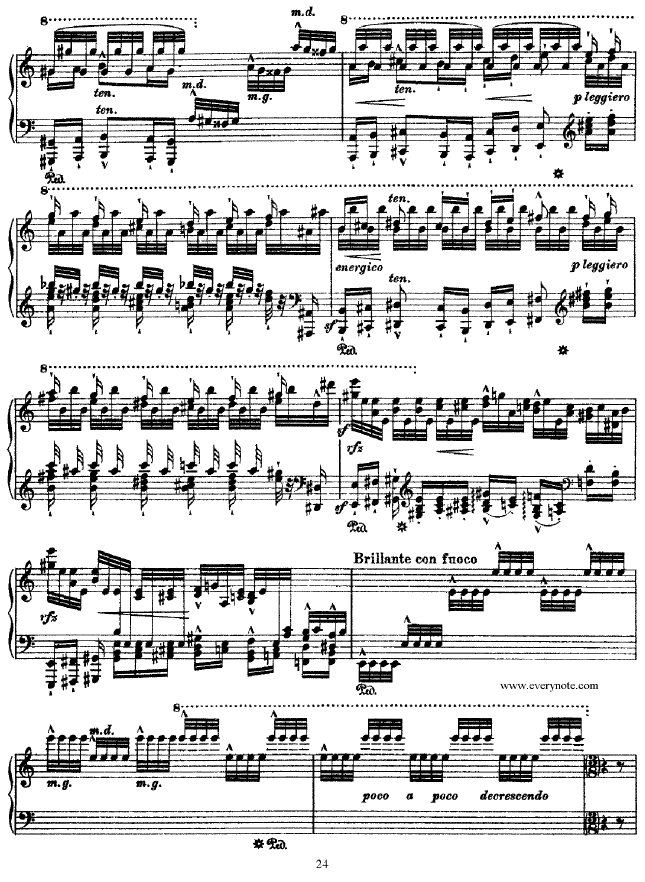 (V)24
