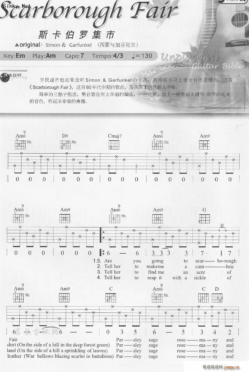 ˹_ scarborough fair(V)1