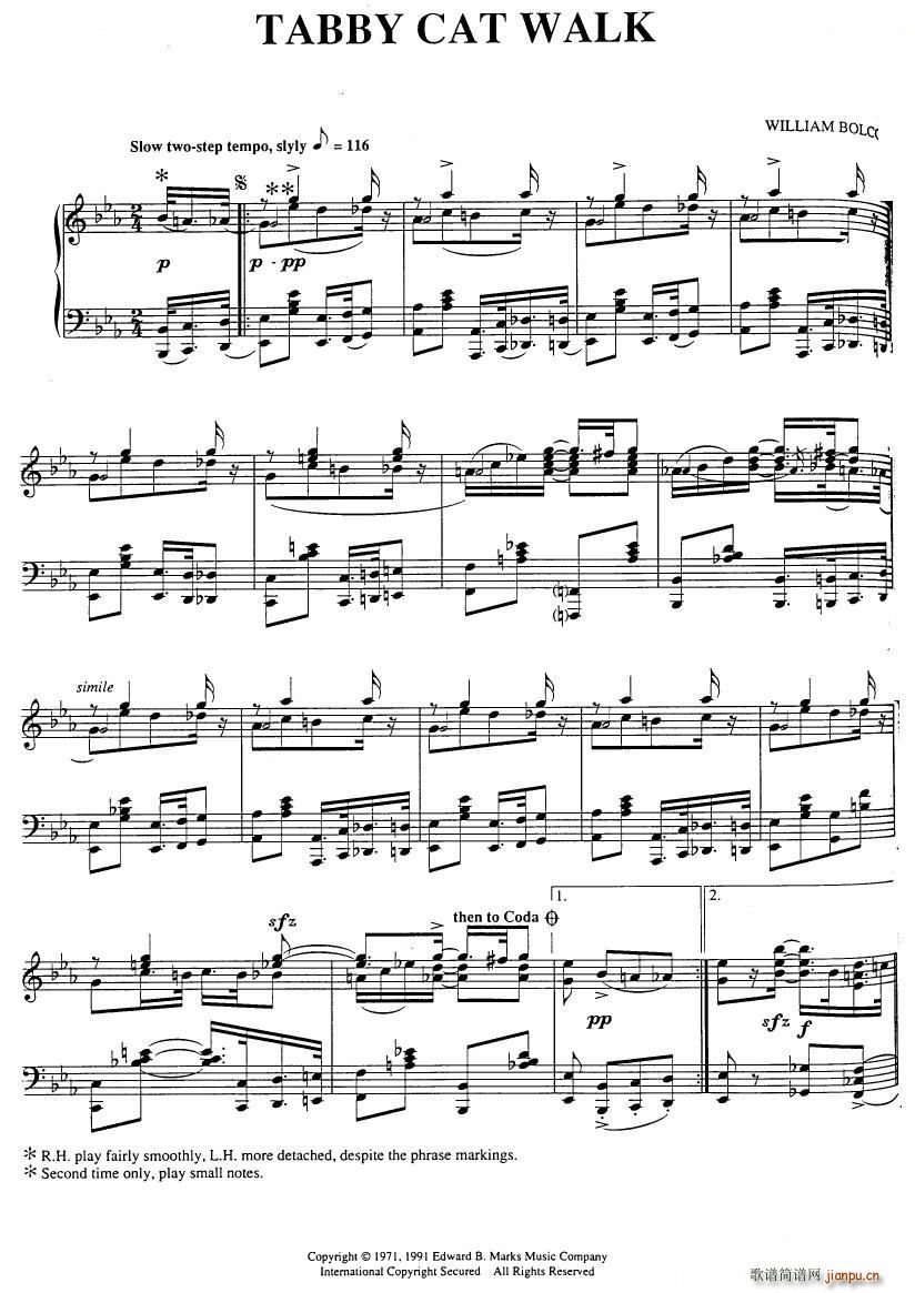 551 classical sheet music piano rags һ(V)20