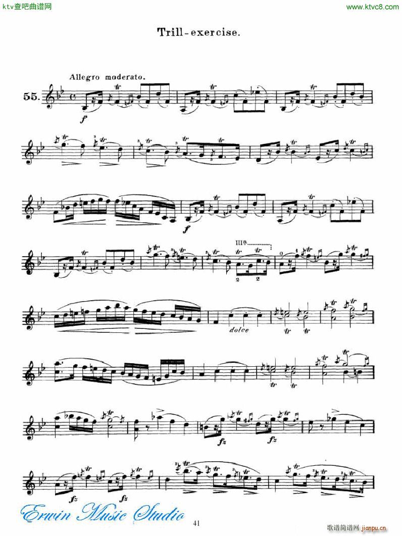 R˹ 75םuM(jn)ʽɾ D(sh)2 27Brilliante 3(ʮּ)10