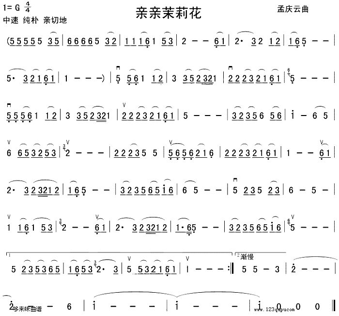 HH(V)1