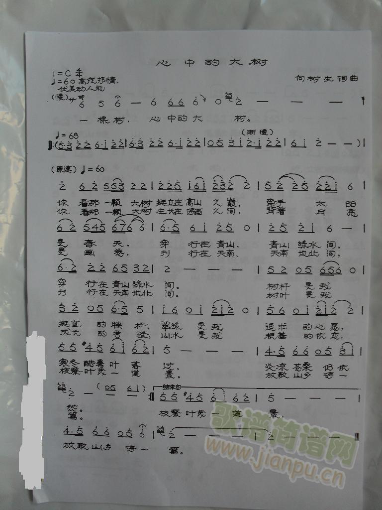 еĴ(sh)(ָV)1