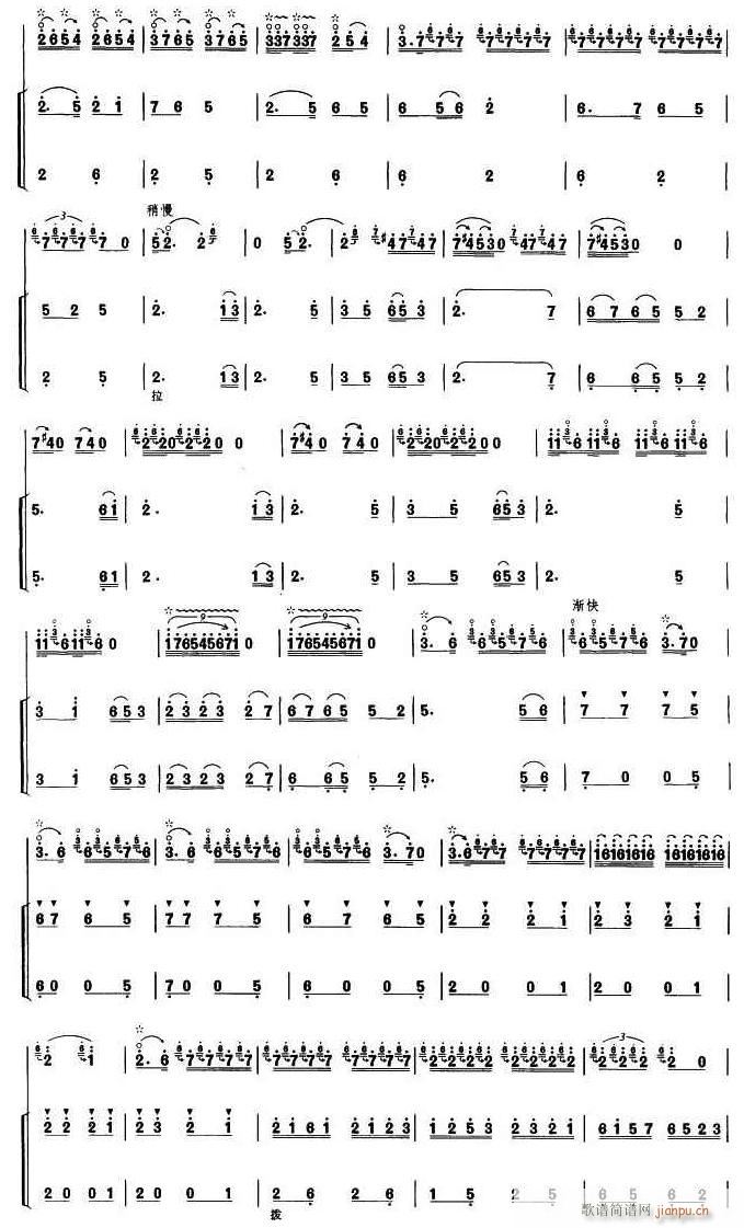 B(nio)P  5(ʮּ)1