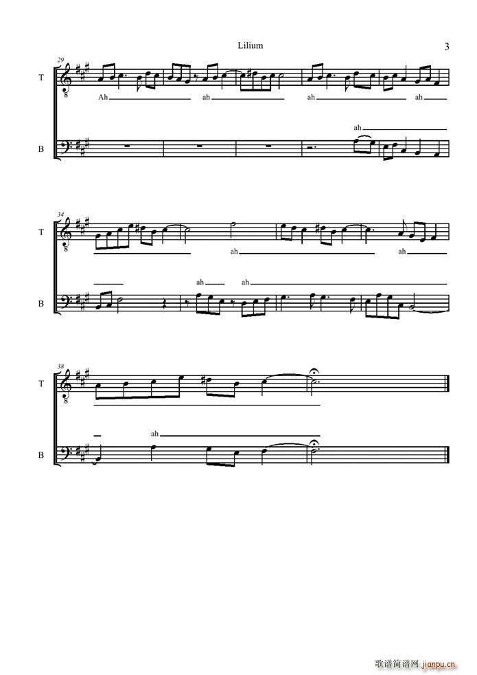 lilium(V)3