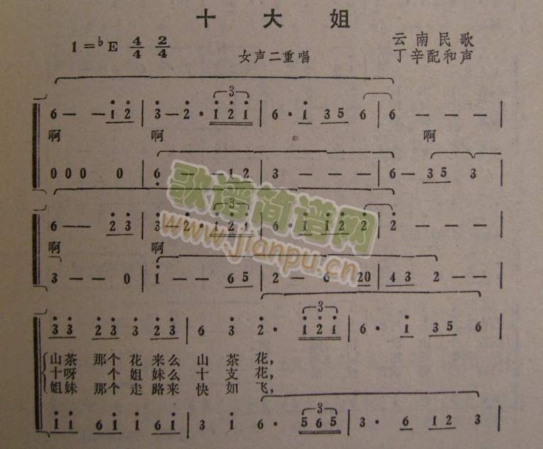 ʮ(ָV)1