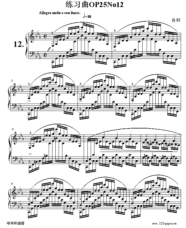 OP25No12-Ф(V)1