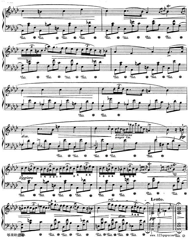 B{ҹƷ32̖-OP32NO.2-Ф(V)8