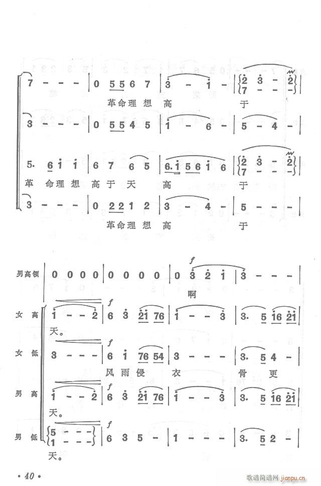 t܊hy  濂V31-65(V)14