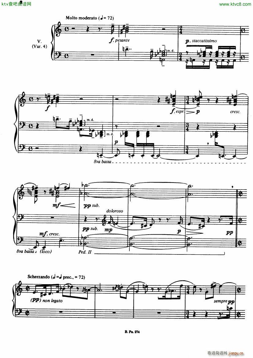 Bernstien Touches(V)5