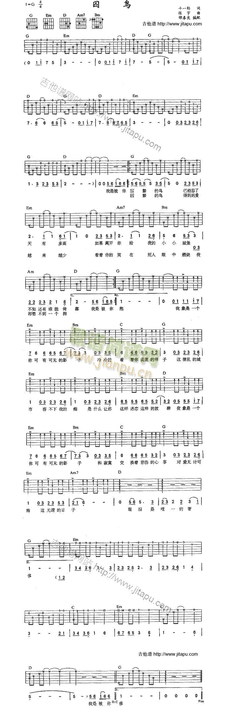 B(nio)(V)1